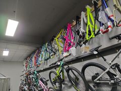 -道路口单车爱瓦士dahon大行