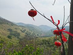 -东明山森林公园