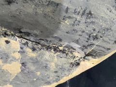 -上海西上海奥杰奥迪汽车销售有限公司(真如店)