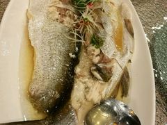 -锦堂中餐厅