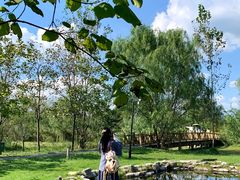 -溱湖国家湿地公园