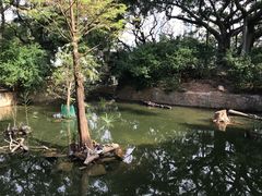 -九龙公园
