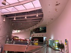 -陕西自然博物馆