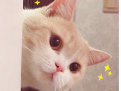 -温莎KTV(珠江路店)