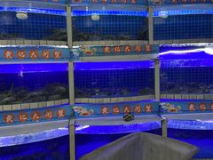 -黄记大闸蟹专卖店·活蟹·醉蟹