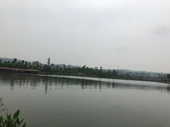 -枫香湖儿童公园