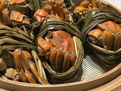 -杨氏青龙虾·羊蝎子(托乐嘉店)