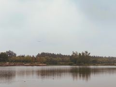 -东郊湿地公园