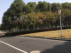 -南京奥林匹克体育中心-体育馆