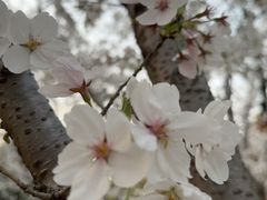 -上海交通大学(闵行校区)