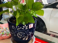 -途虎养车工场店(重庆医学院路店)