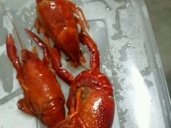 -巴陵亿口香·招牌卤虾(天马店)