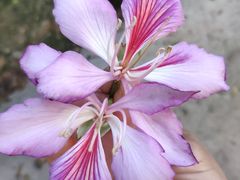 -雀儿山公园