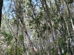 -艾提尕尔清真寺