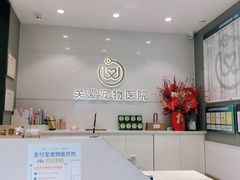 -关爱宠物医院·猫科中心·消化科(滨湖万达分院)