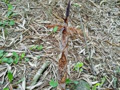 -南京市无想山景区