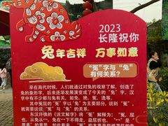 -广州长隆飞鸟乐园