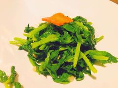 清炒豌豆尖-梧桐