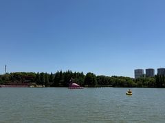 -青枫公园