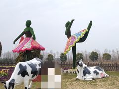 -荷兰花海