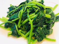 广东菜心苗-衡山汇·高级粤菜(霄云路店)