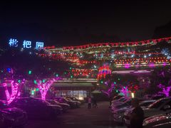 -枇杷园食为鲜火锅(南山店)