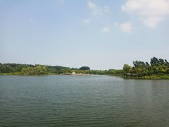 -东郊湿地公园