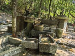 -广州白江湖森林公园