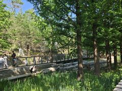-白水寺森林公园
