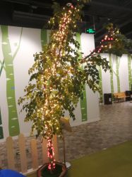 -幻贝家儿童乐园(苏州中心店)