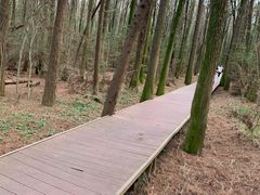 -同里国家湿地公园
