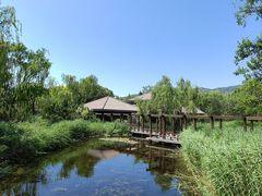 -国家植物园南园