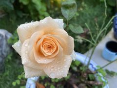 -往来·竹里.宝宝宴.生日宴.团建.宴席(花乡农居店)