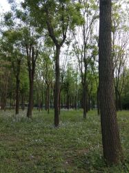 点击看大图 -爱儿美儿童摄影(朝阳公园店)
