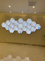 -圣嘉新医疗美容医院