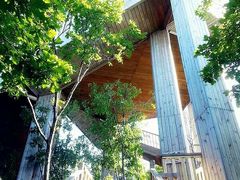 -帽儿山国家森林公园