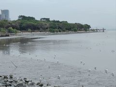 -深圳湾公园(南山区)