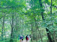 -棒棰岛宾馆景区