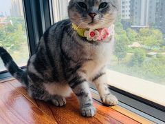 -眞宗·椰汁是大王(小娄巷店)