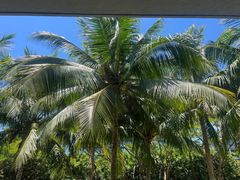 -石梅湾艾美度假酒店