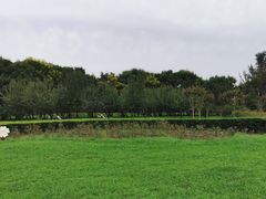 -洨河生态公园