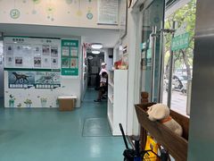 -瑞派先诺宠物医院•猫专科•普外科•中兽医(佛山院)