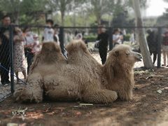 -长白岛森林公园