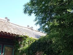 -王家大院