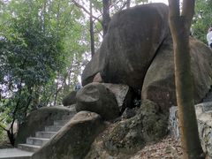 -火炉山森林公园