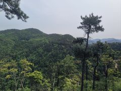 -四明山国家森林公园
