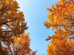 -苏州河梦清园环保主题公园