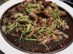 -秀儿四九城·新京菜(亚运村鸟巢店)