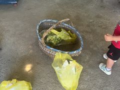 -马陆小张葡萄园农家乐