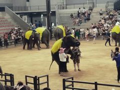 -东芭乐园